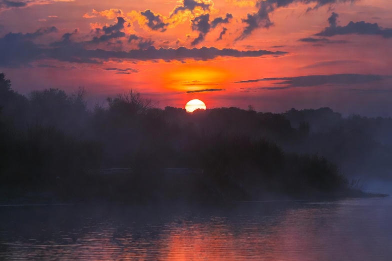 공복 올리브오일 효능