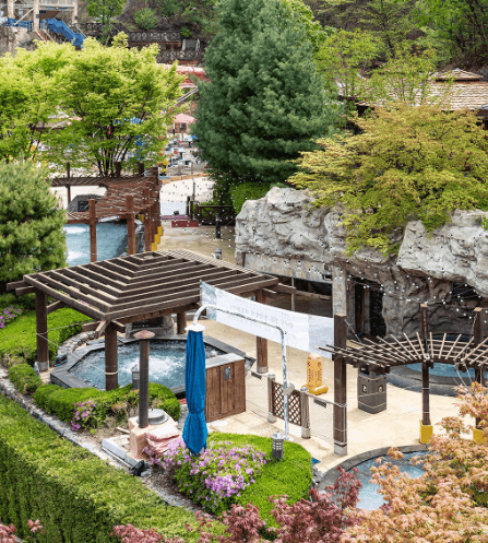 오션월드 운영시간,입장권 할인, 숙박패키지, 셔틀버스, 카바나 예약, 오션패스