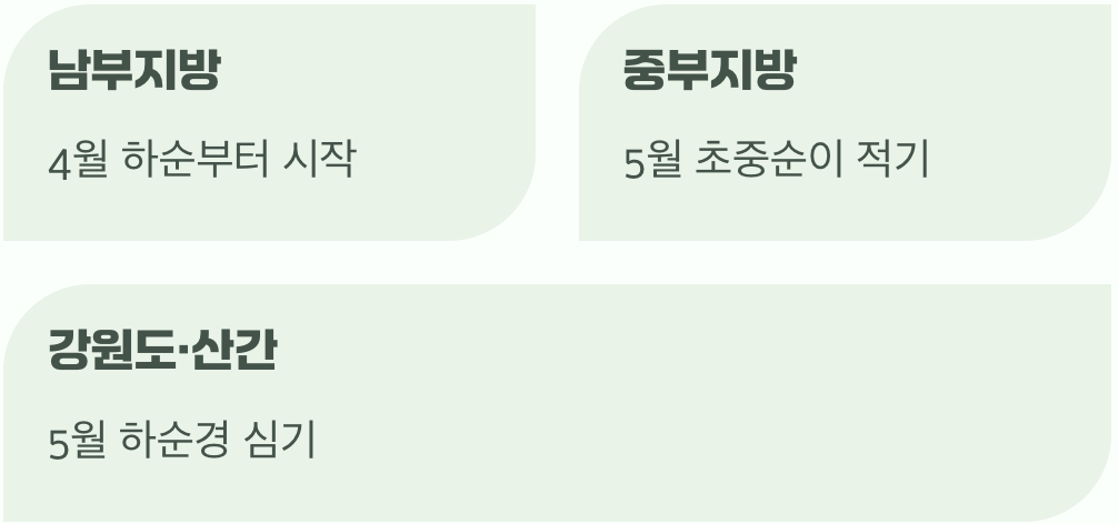 심는 시기, 언제가 가장 좋을까?