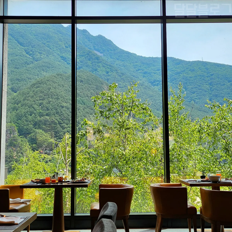 정선-파크로쉬-조식-뷰