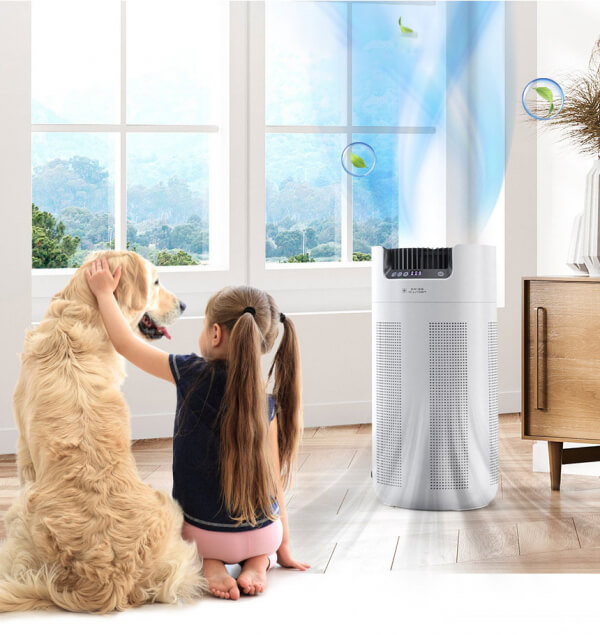 공기청정기