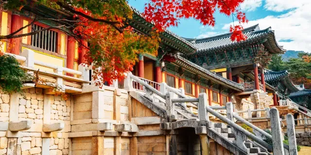 경주 가볼만한곳 베스트 10 역사 여행과 문화유산 탐방_7