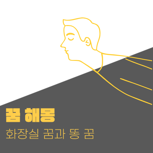 재래식 화장실 꿈과 똥 꿈