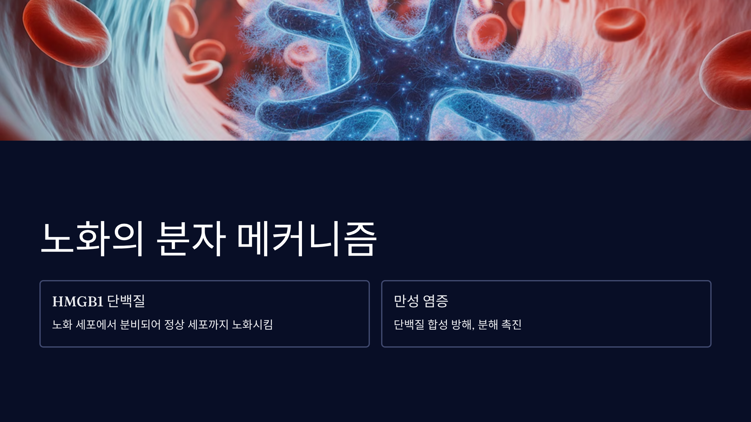 노화 확산의 분자 메커니즘과 단백질