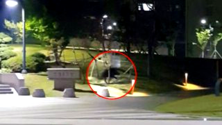 이화여대 멧돼지 출몰 (영상) &amp;#124; 대처 방법 긴급 상황