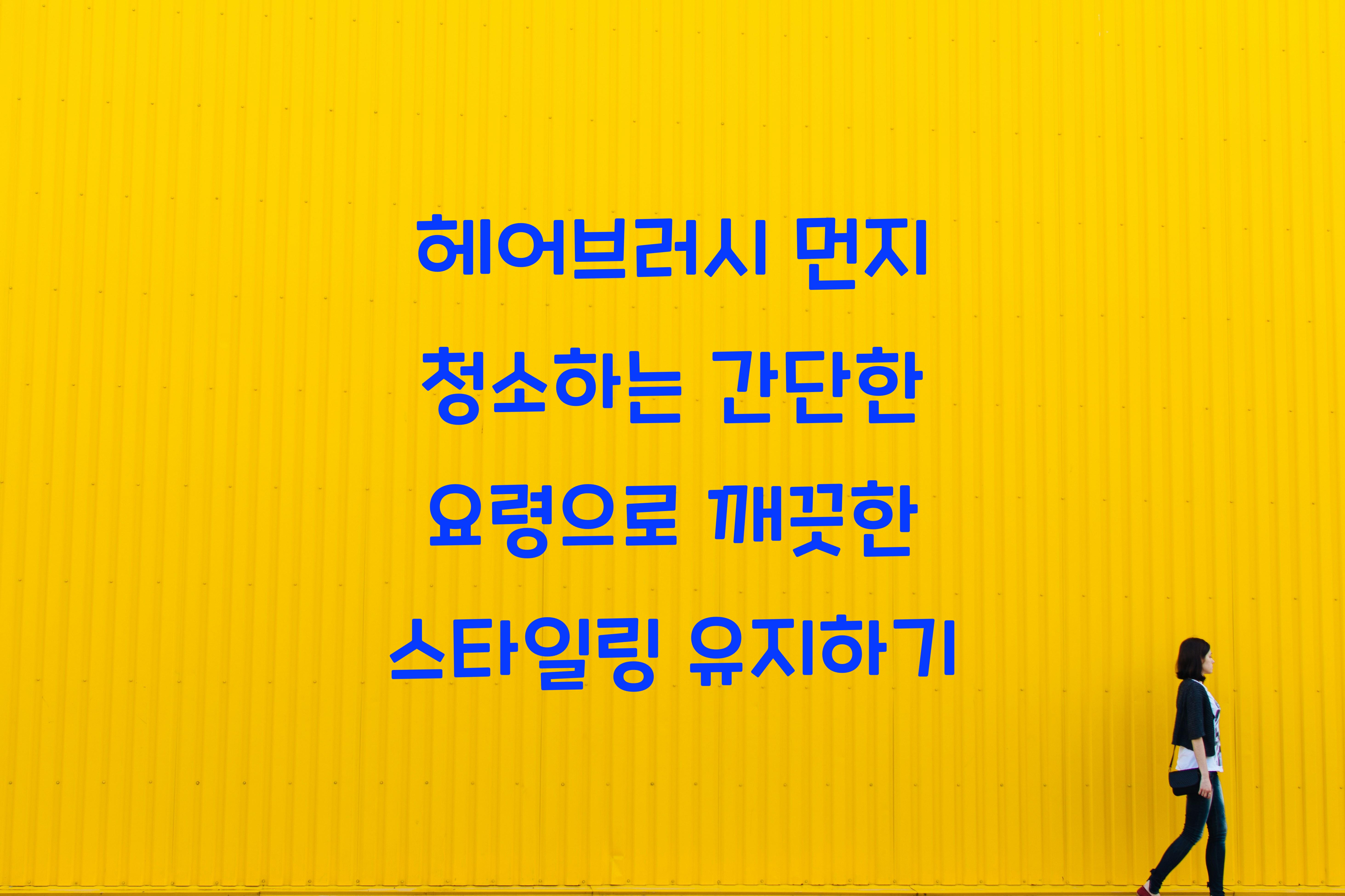 헤어브러시 먼지 청소하는 간단한 요령