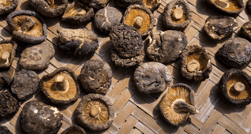 표고버섯을 말리고 있다