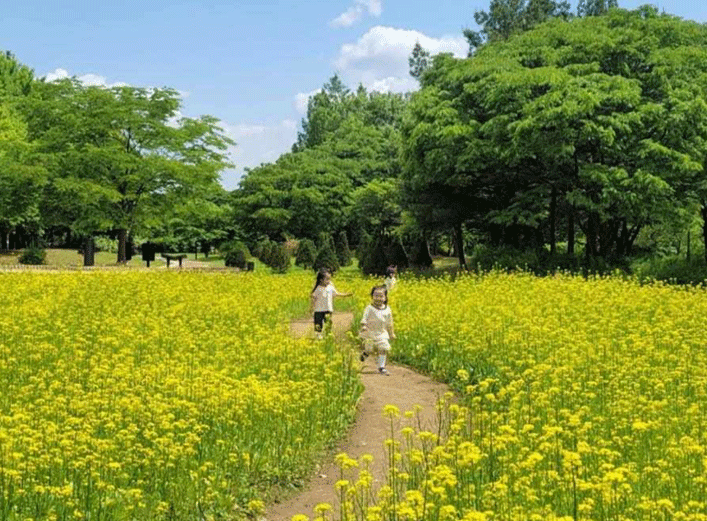 서울시-유아숲체험원-시설-현황-유아-숲체험-서울-숲체험원-서부공원여가센터