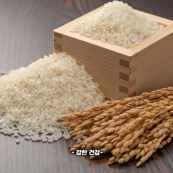 바나듐쌀 재배법