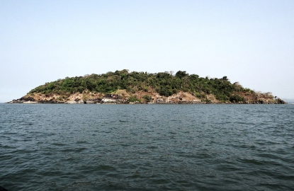 무인도 생존법과 전통지식 활용 사례