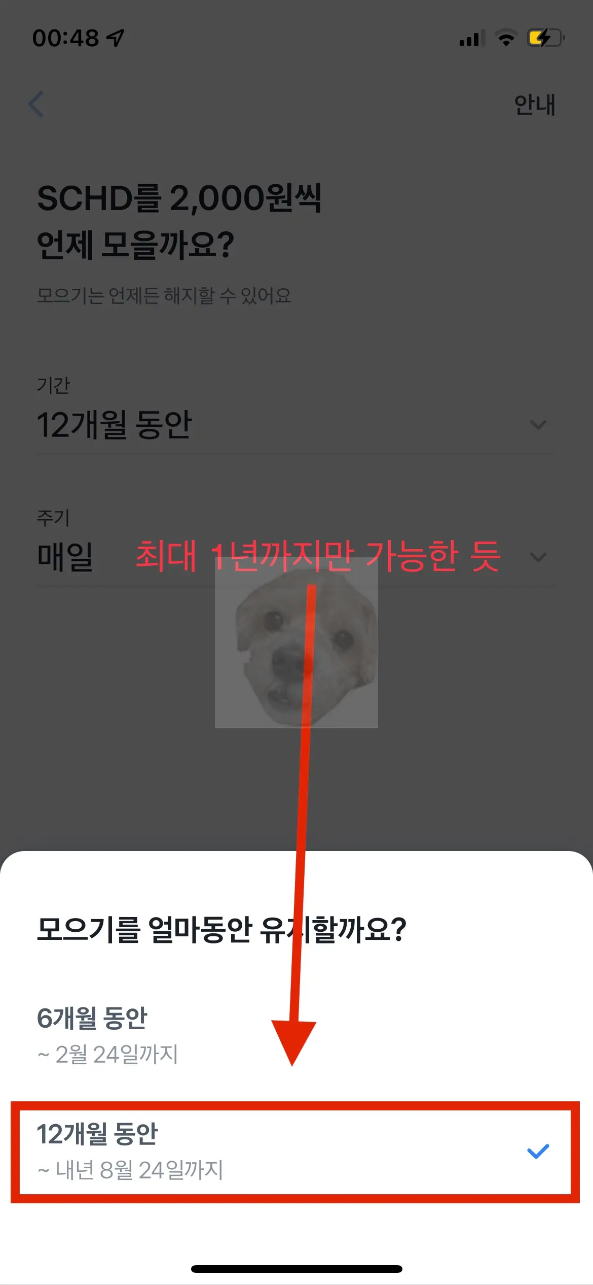 주식 모으는 기간 사진