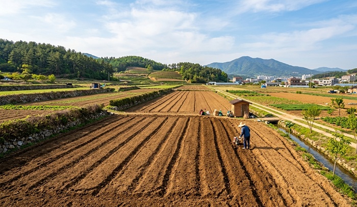 토지 경매 관련 사진