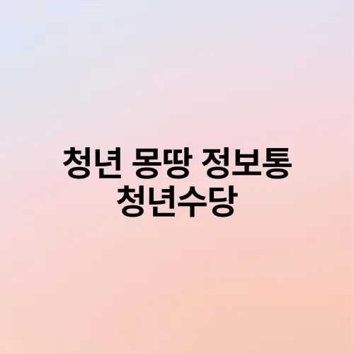 청년 몽땅 정보통 청년수당