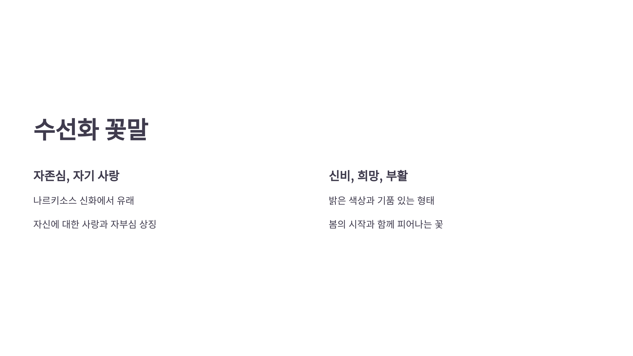 수선화 사진입니다.