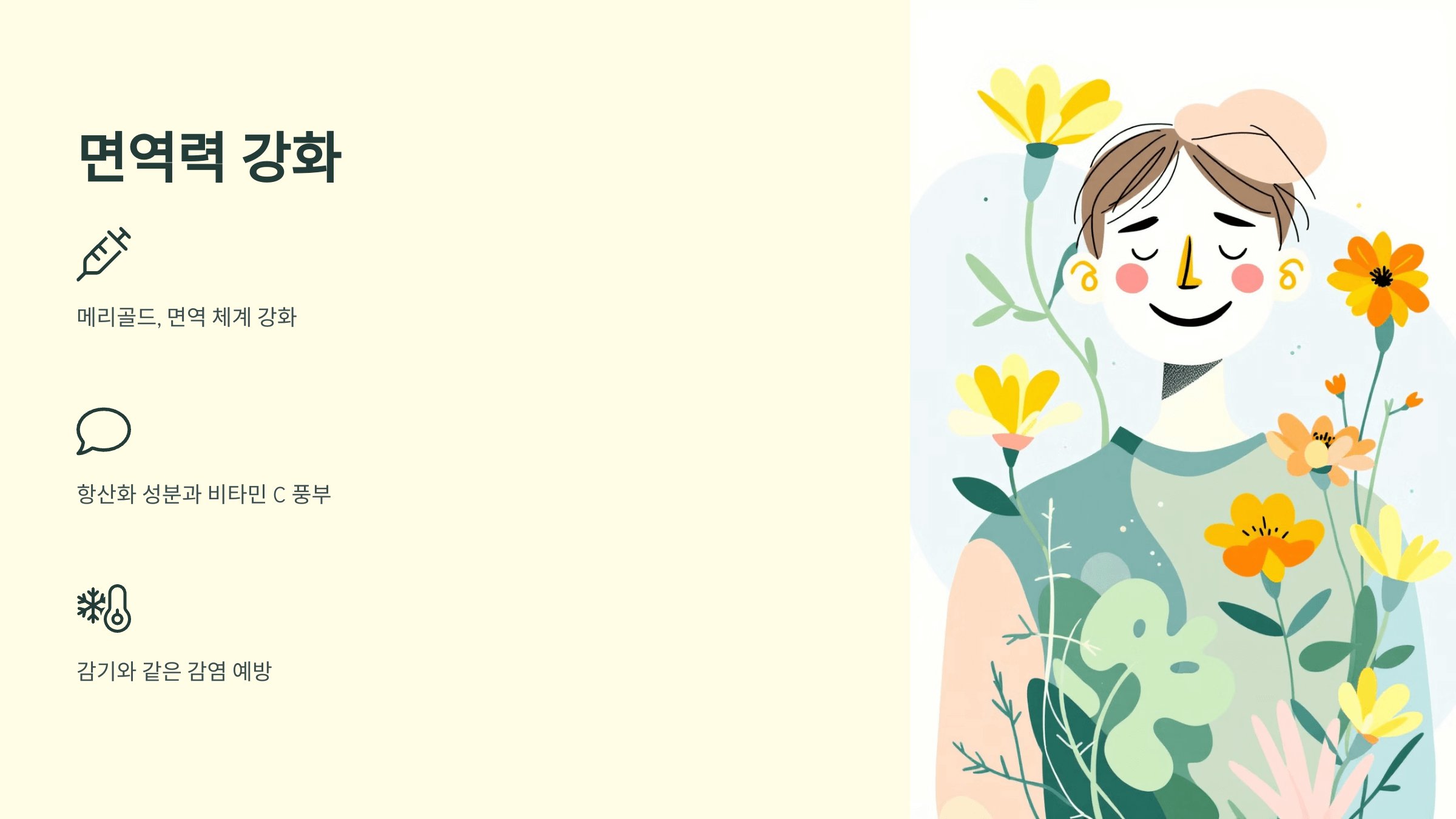 메리골드 꽃차 사진입니다.