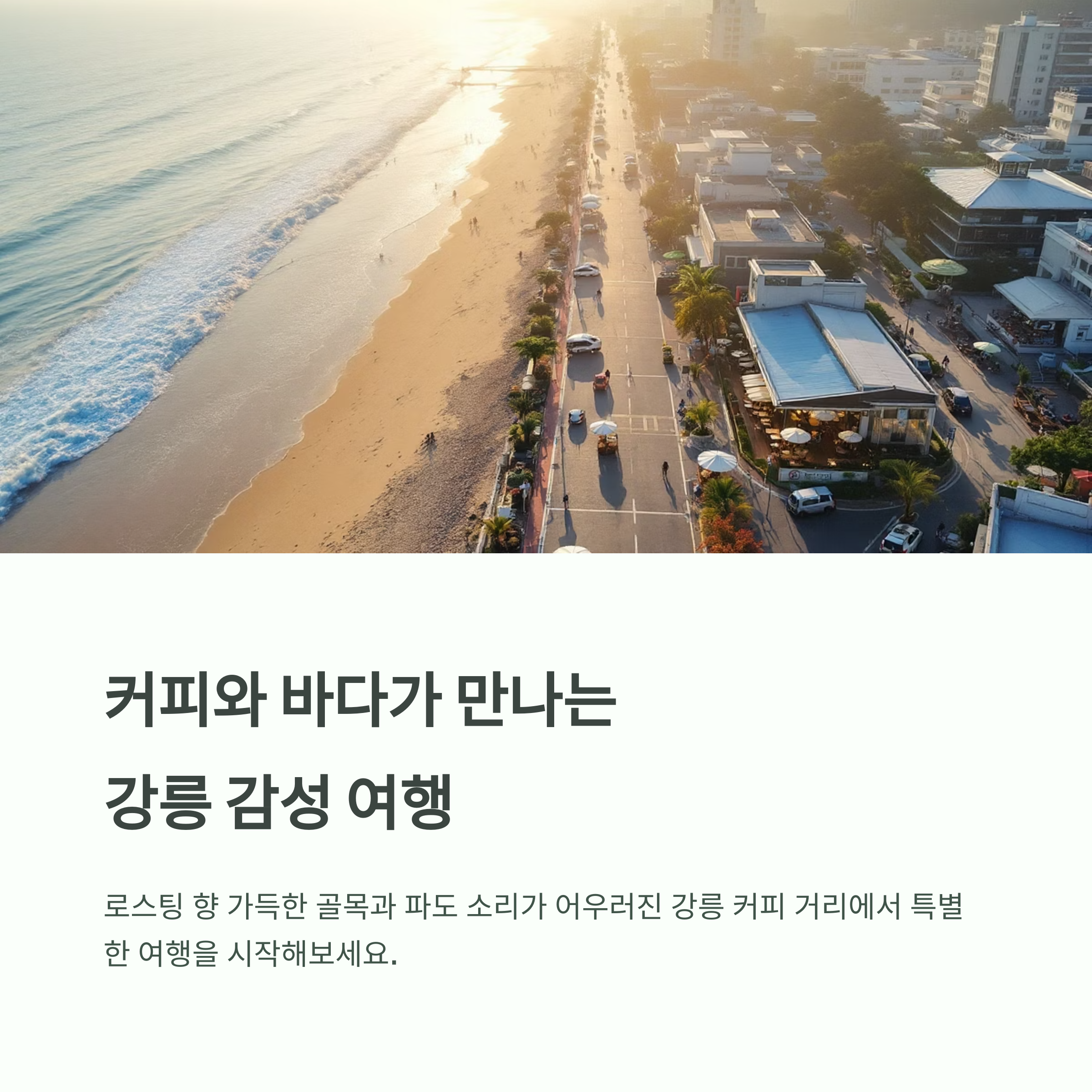 강릉 커피 거리에서 시작하는 감성 카페 투어