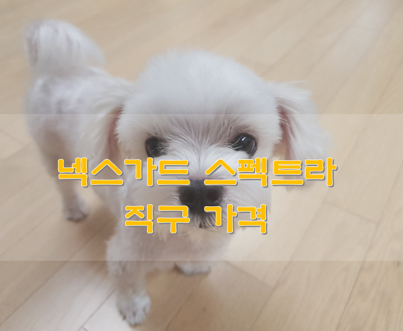 넥스가드-스펙트라-두부사진