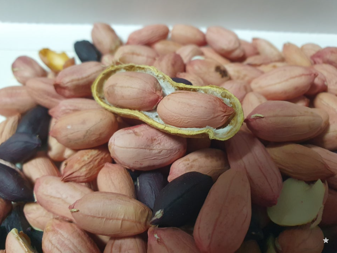 밭에서 나는 우유? 땅콩 효능 5가지와 하루 권장량 정리