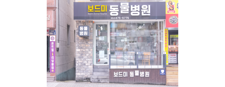 구미시 동물병원