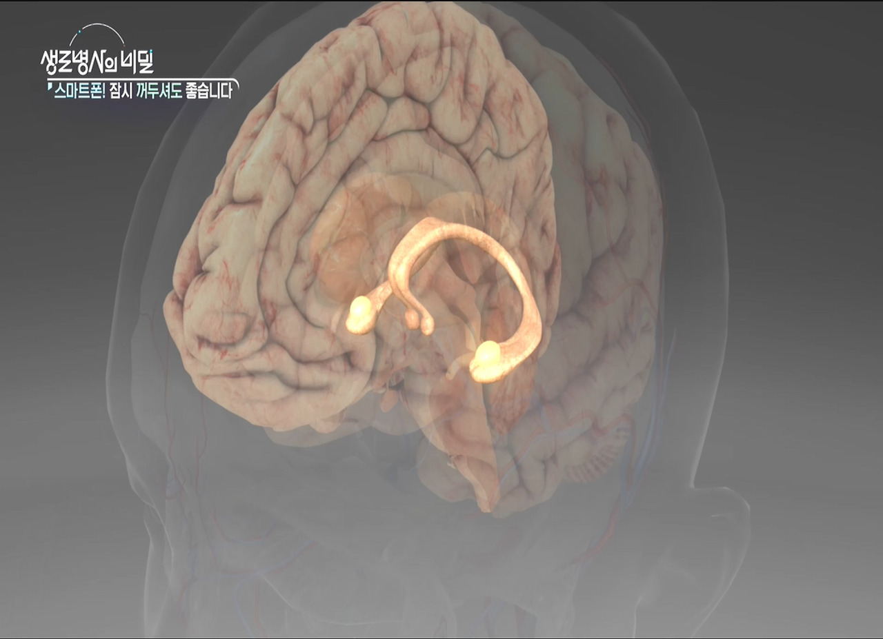 비밀 생로병사의 스마트 폰