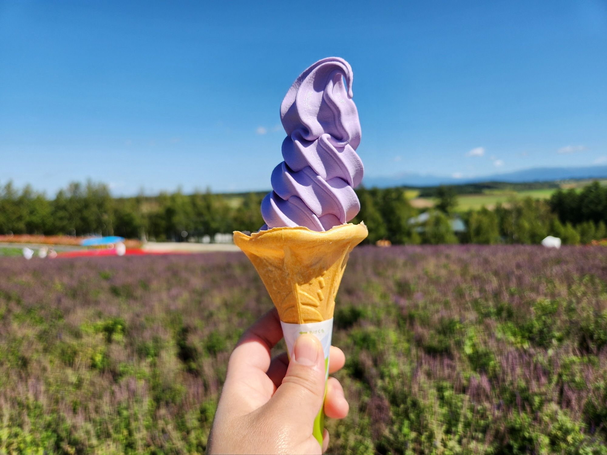 사계체 언덕 - 13