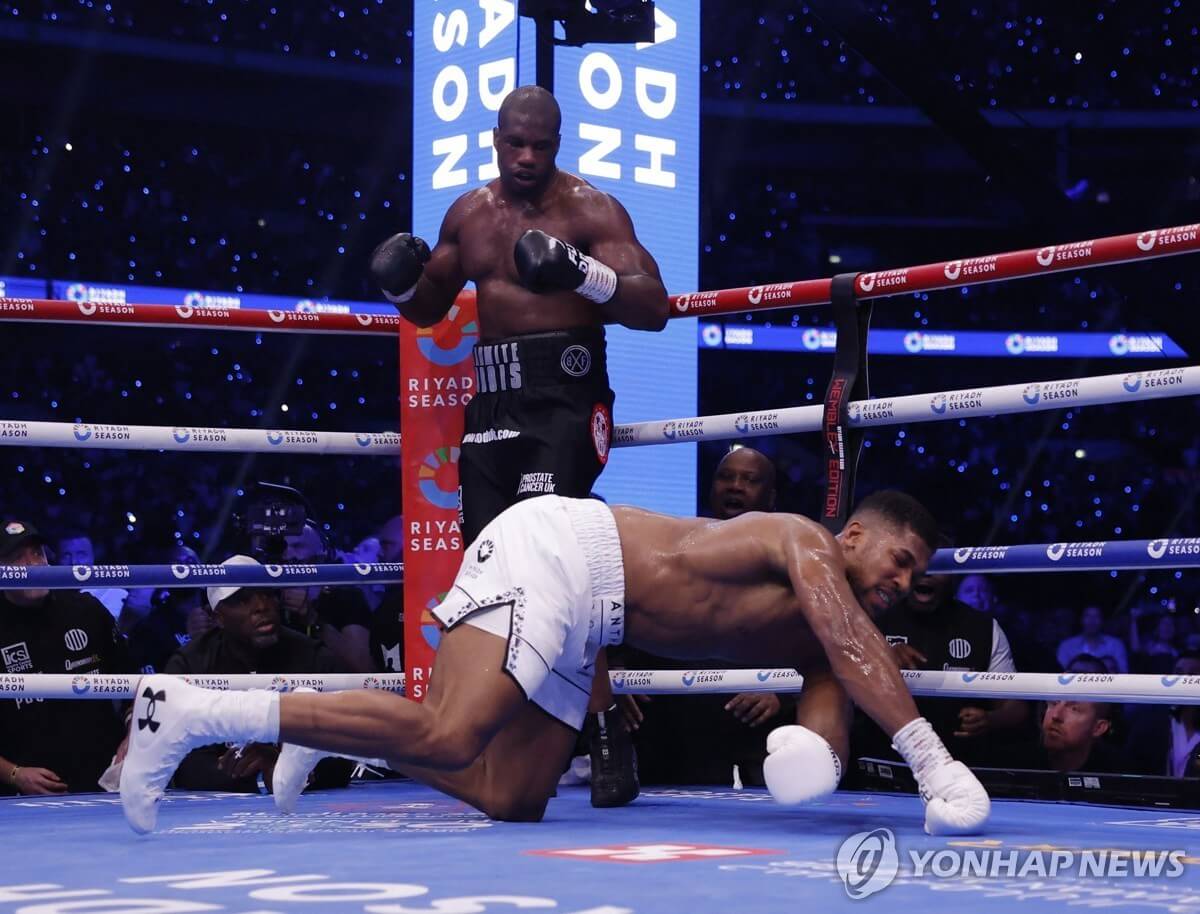 IBF 헤비급 타이틀전 조슈아 뒤부아