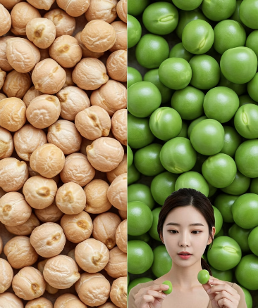 자주 묻는 질문 Q&A 1