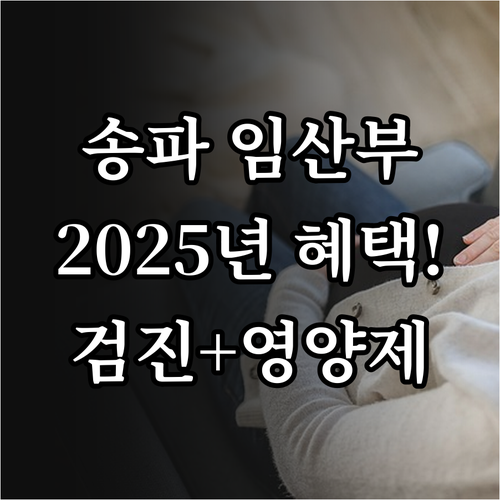 송파구 임산부라면 2025년 필수 건..