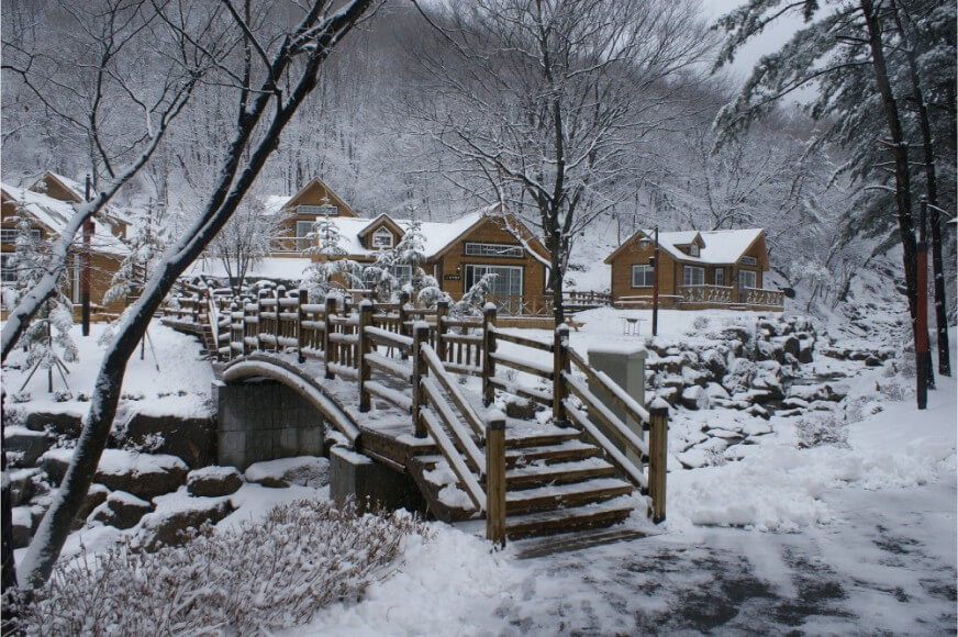 용인자연휴양림 사진