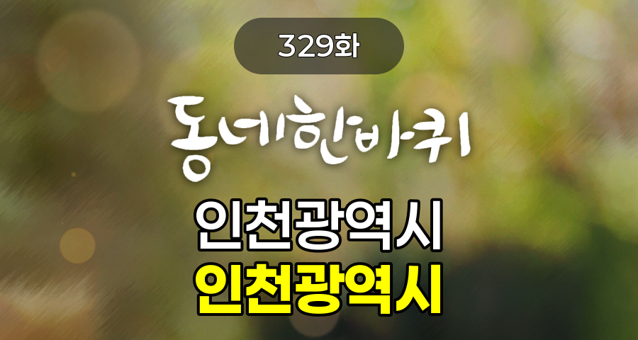 KBS 동네한바퀴 인천광역시 인천광역시 329화 2025년 7월 19일 맛집 식당 업체 촬영장소 촬영지 정보, 월미바다열차, 미마인 (구황작물 찹쌀빵), 노가리해변 해식동굴, 고양이역 (고양이 보호소), 영흥민속대장간, 쌍곰다방, 남원추어탕, 김주현바이각 인천본점