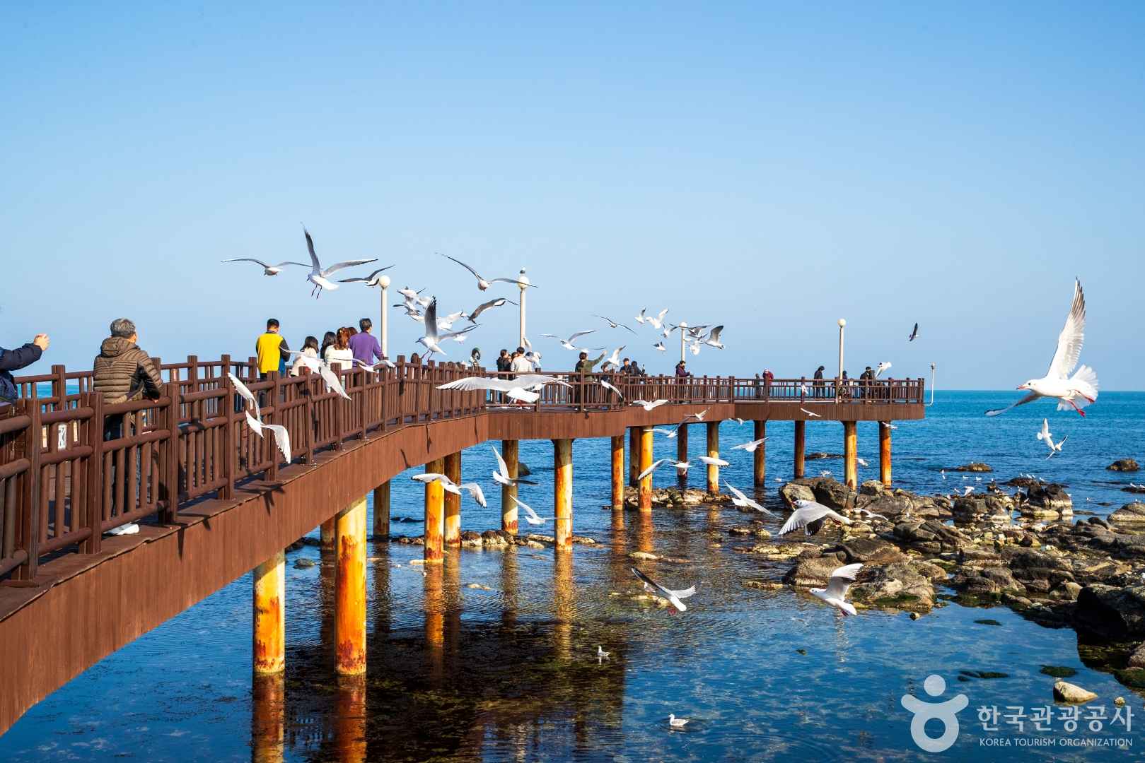 호미곶 해맞이광장