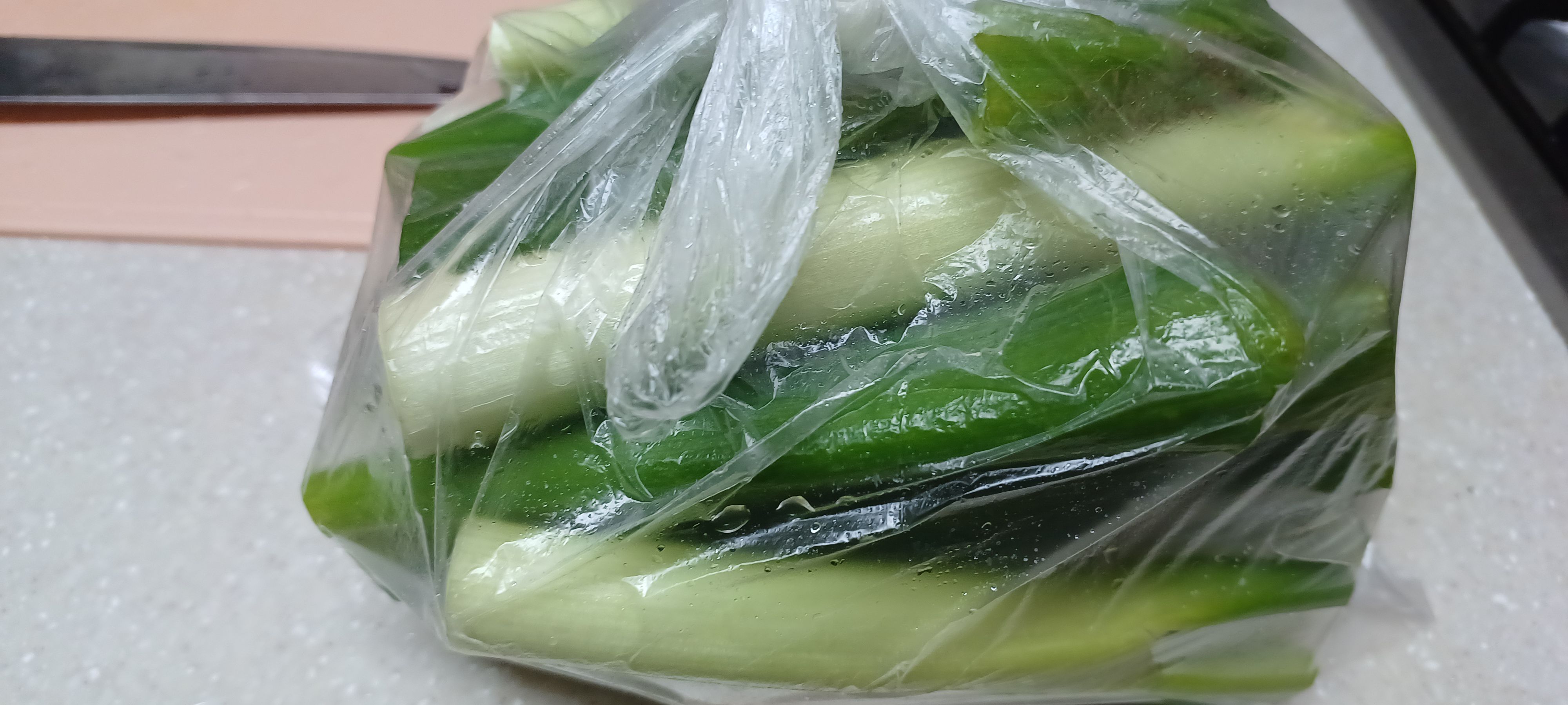 비닐에 자른 대파 보관하기