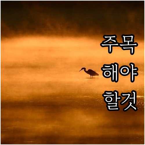 2025 대구 레지던시 입주 작가 모..