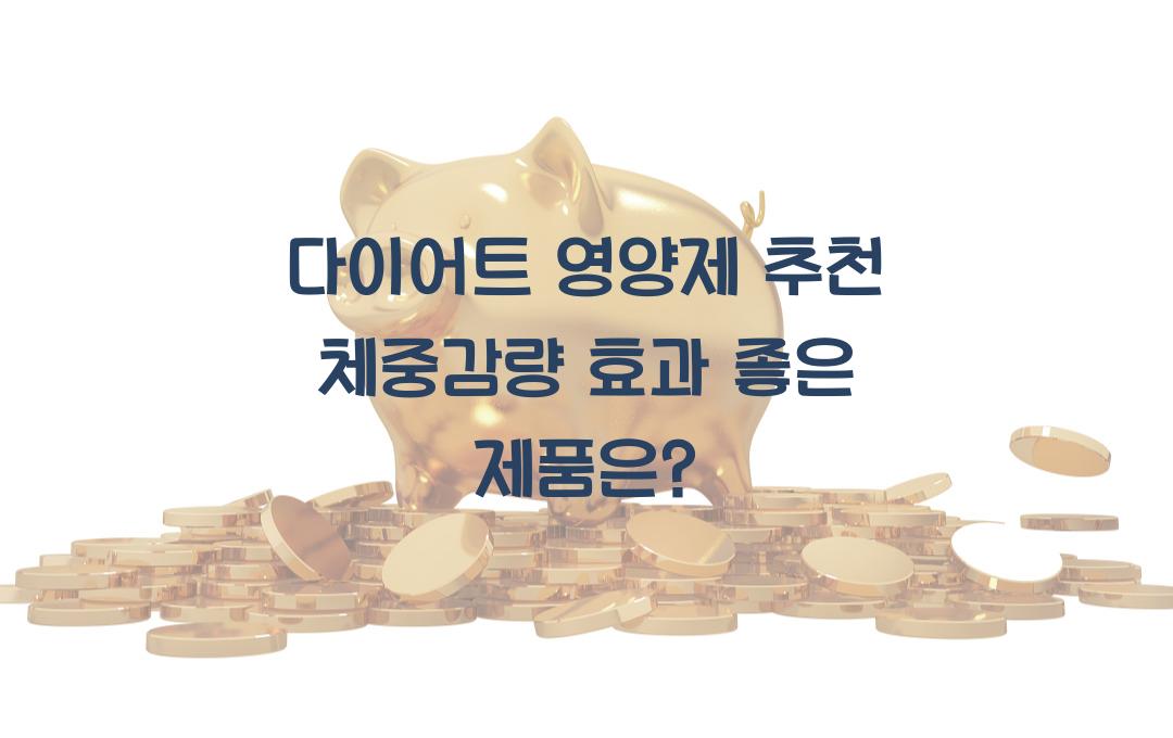 다이어트 영양제 추천
