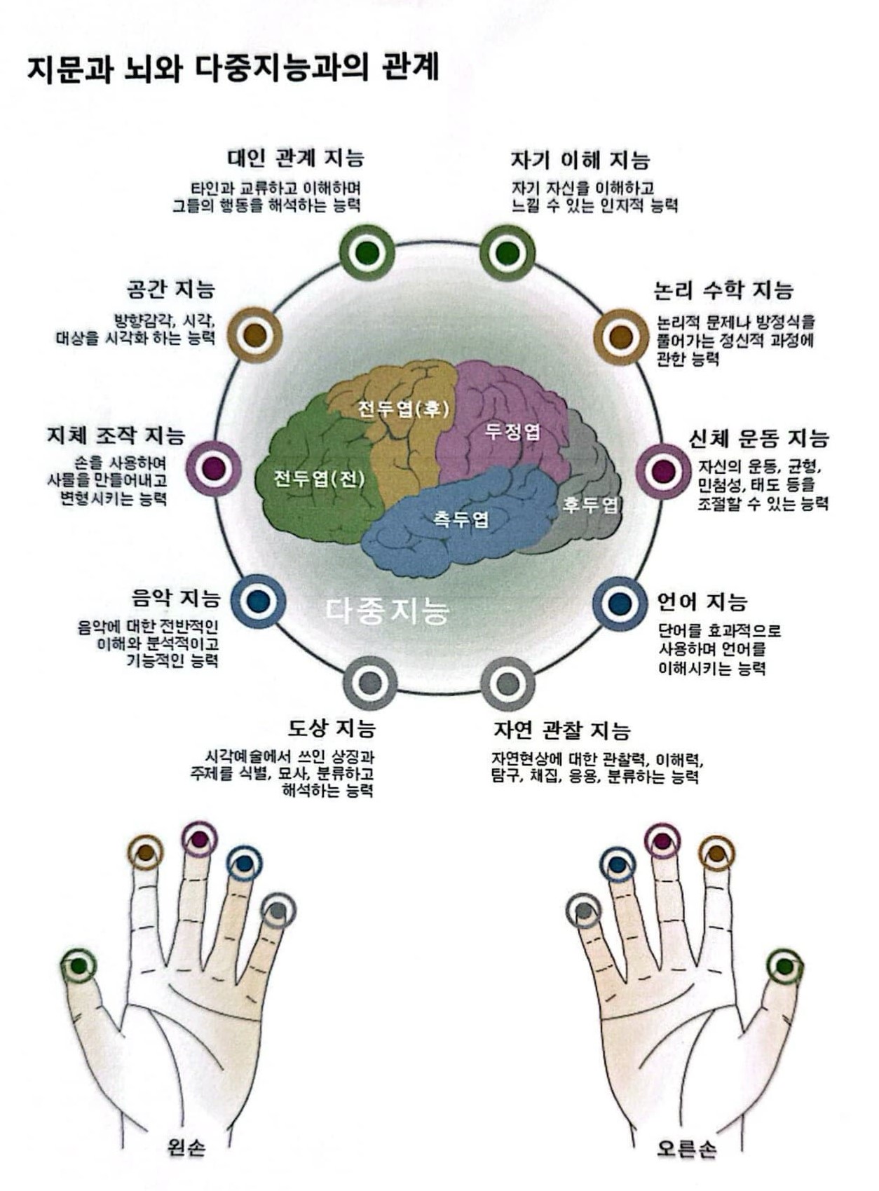지문패턴분석
