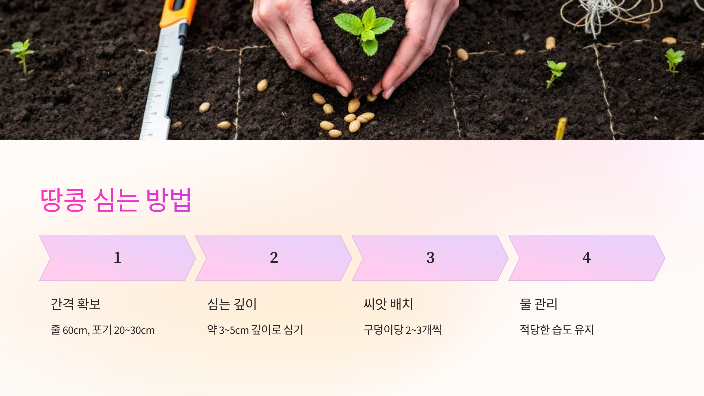 🌾 땅콩 심는 방법