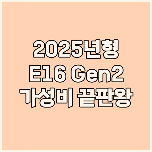 2025 씽크패드 E16 G2 라이젠..