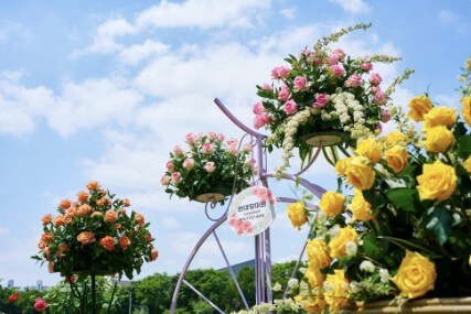 중랑 서울장미축제