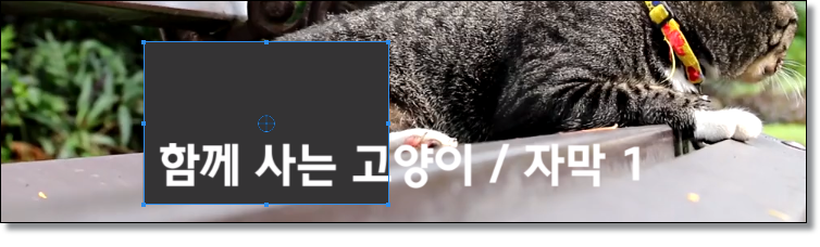 프리미어프로-로고-자막