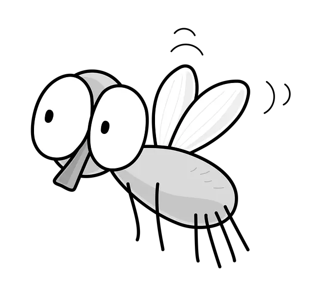 러브버그 출몰시기 퇴치방법