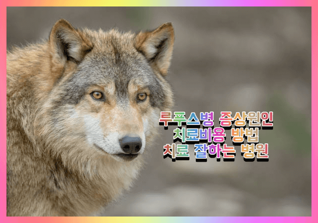 루푸스 어원