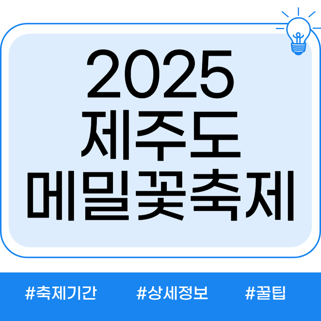 2025 제주 메밀꽃 축제