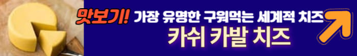 구워먹는 치즈 알아보기