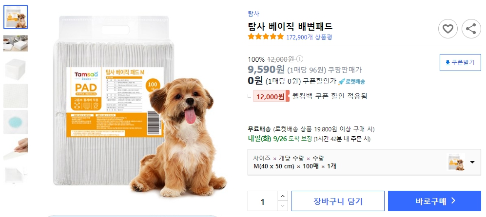 탐사-베이직-배변패드