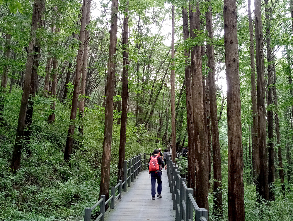 이마트24 8월 등산챌린지