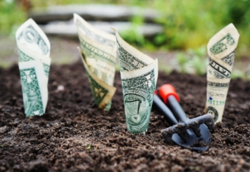 실업급여 예상금액 조회