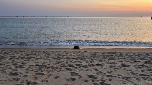 강릉 남항진해변
