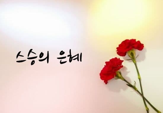 스승의 날 선물 추천, 센스 있게 카카오톡으로 전하세요!