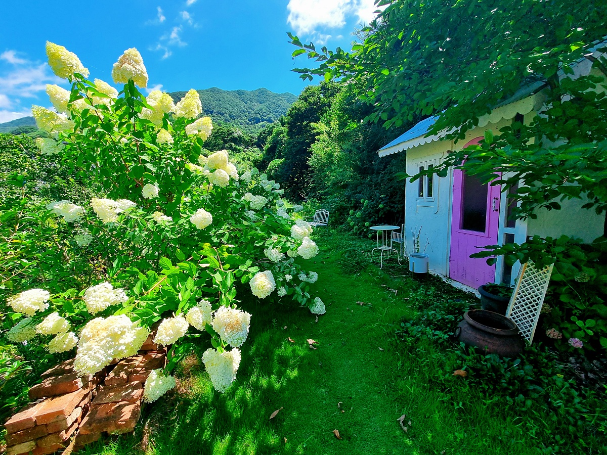 블루리본 브런치 카페 플래닛 1020: 경남 하동 지리산 쌍계사 근처 현지인 추천 맛집