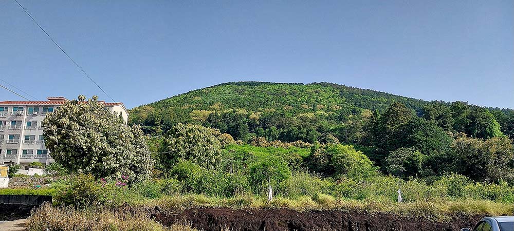 서귀포 오름 고근산의 아침